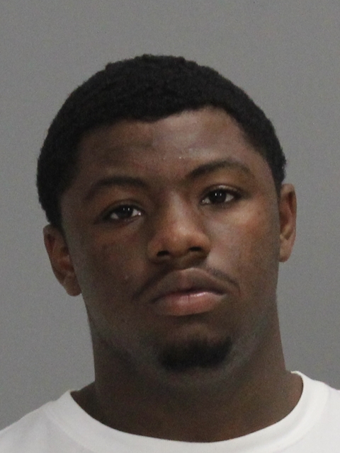 WILLIAMS, CALVIN DWAYNE, Jr booking photo