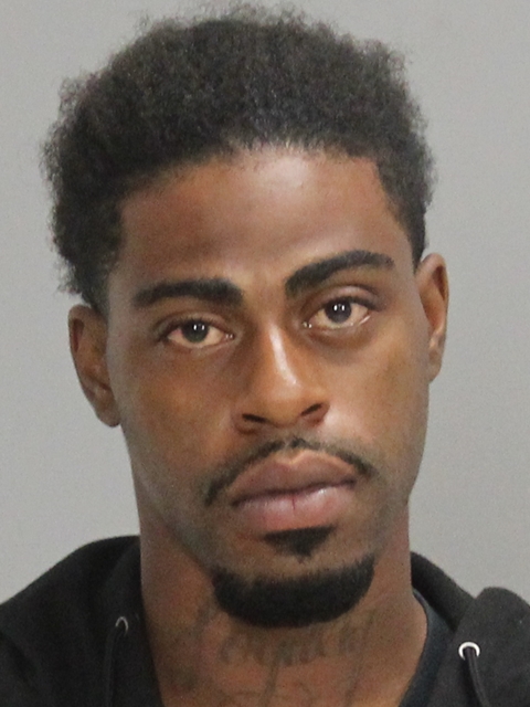 HORACE, DARRYL WAYNE, Jr booking photo