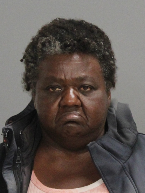 NEWMAN, BARBARA JEAN booking photo