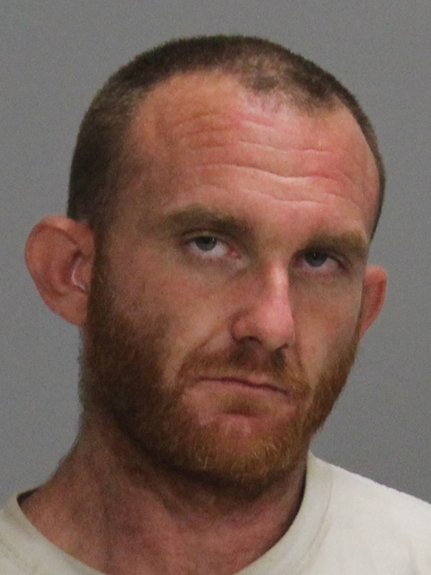 JONES, AARON DALE booking photo