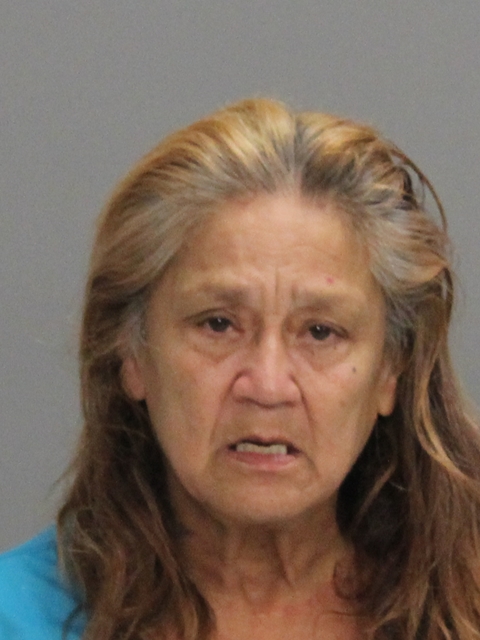 VILLARREAL, DIANA DELEON booking photo