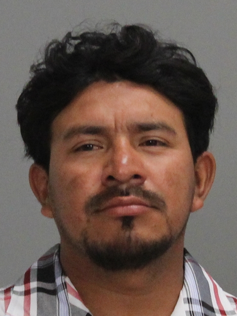 TREJO, NELSON booking photo