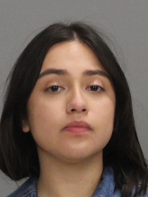 GUEVARA, JASMIN booking photo