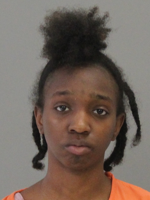 ZENON, ADRIANNA LE NAE booking photo