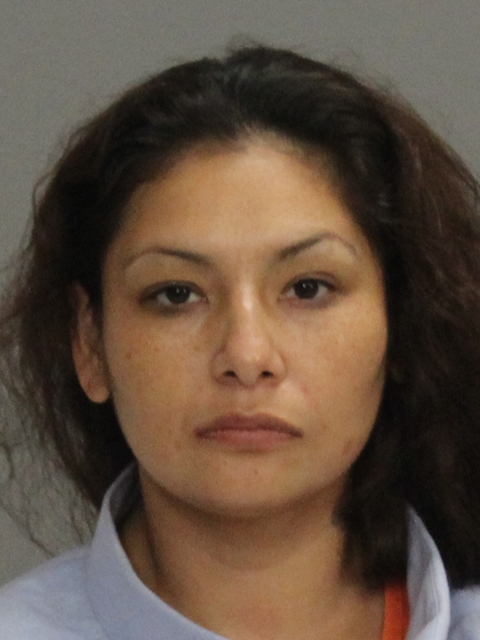 Salinas, Anna Lisia booking photo