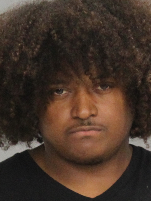 FRANKLIN, WILLIAM BIJAN booking photo