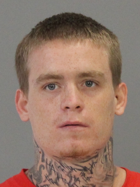 NEWTON, BRANDON LEE booking photo