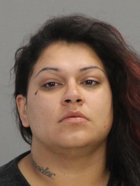 AMADOR, ERICA arrested by Brazos County SO/PD