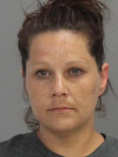 Rothman, Lisa Marie arrested by Brazos County SO/PD