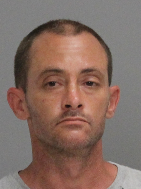 MELSON, MICHAEL WILLIAM, Jr booking photo