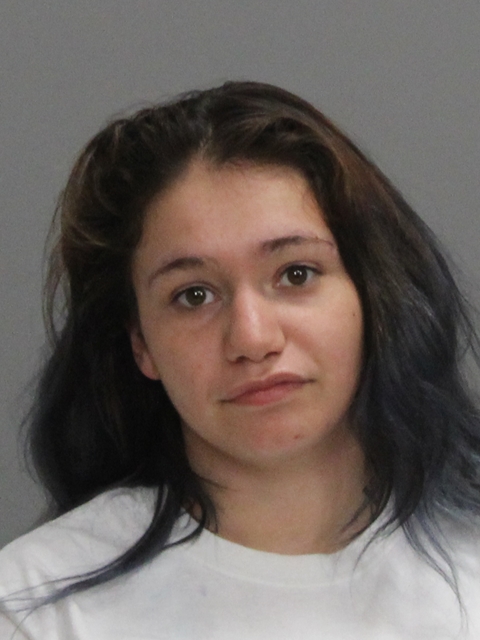 SHANE, RANDI MICHELLE booking photo