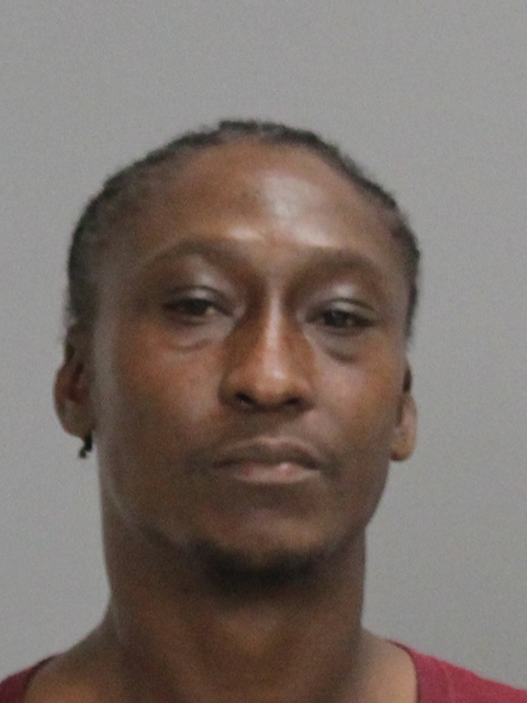 MINOR, NATHAN ANDREA booking photo