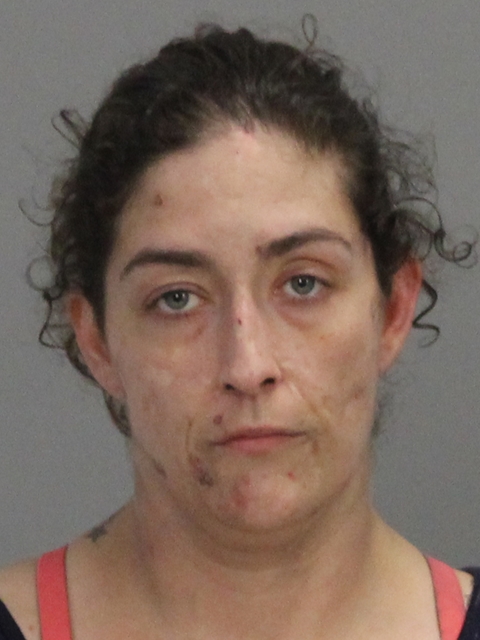 Comstock, Laura Elizabeth booking photo