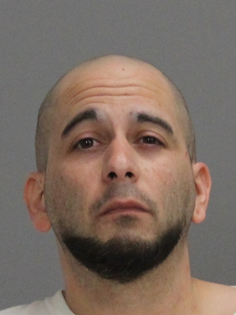 ROMO, JASON ERIK booking photo