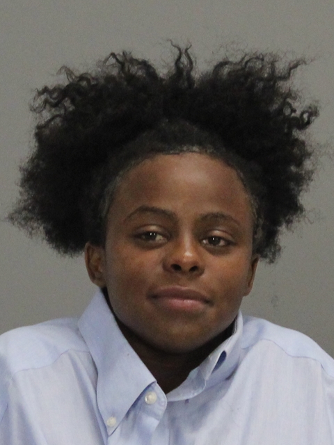 JOHNSON, BRIDGETTE MONIQUE booking photo