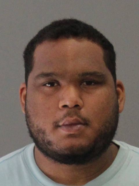 BRAY, DOMINIQUE EUGENE booking photo