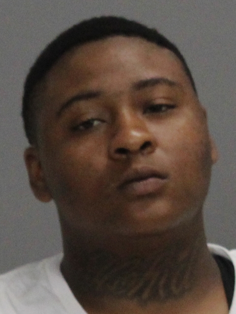 Love, Brianna Reajean booking photo