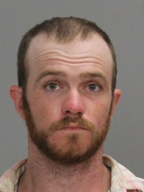 JORDAN, TEEL RAY booking photo