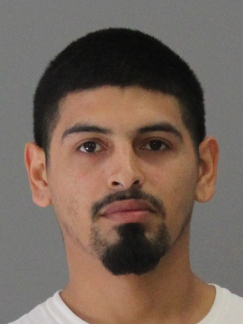 VEGA, SANTOS, III booking photo