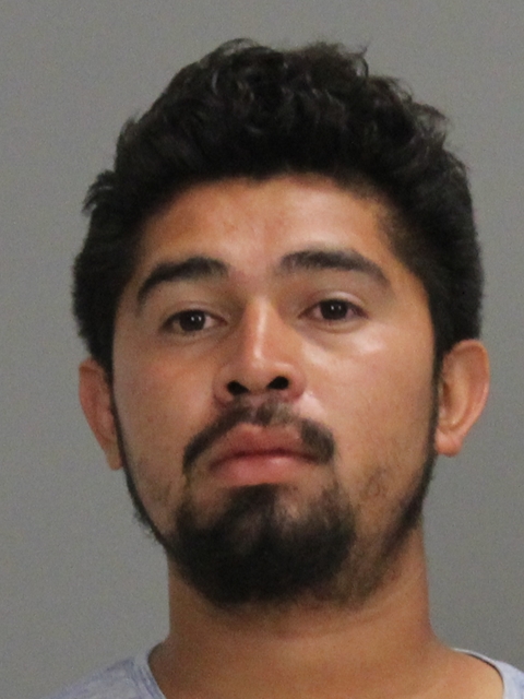 HENRIQUEZ DIAZ, JOSE FERNANDO booking photo