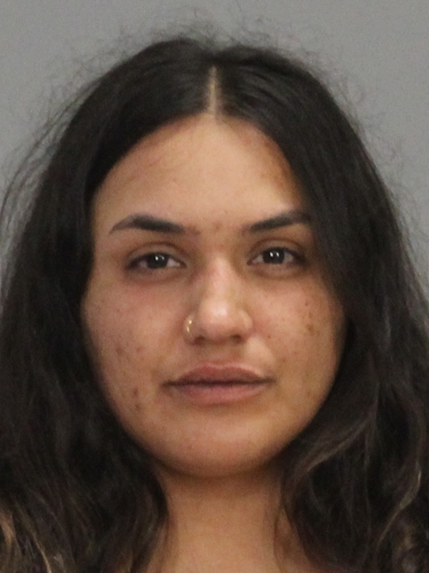 RODRIGUEZ, CATHERINE GRACE booking photo