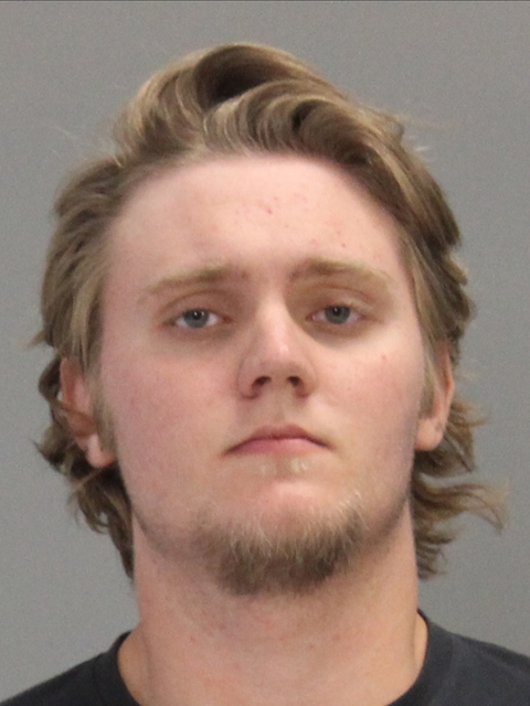 WIENS, DAVID JOHN booking photo