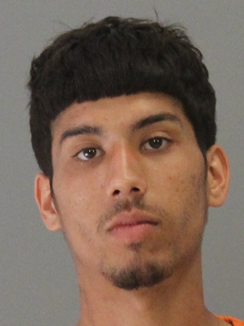 REYES, EUSEBIO, Jr booking photo