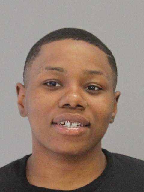 LEWIS, ERICA DIONA,FAITH booking photo