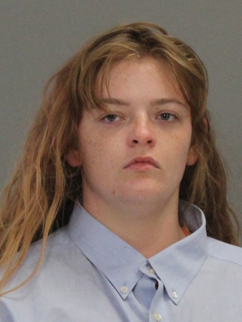 DICK, CLARA LEEANN booking photo