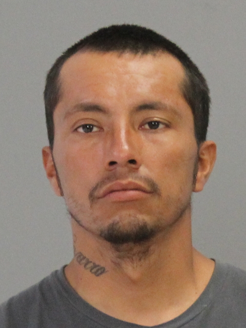 NAVARRO, CARLOS booking photo