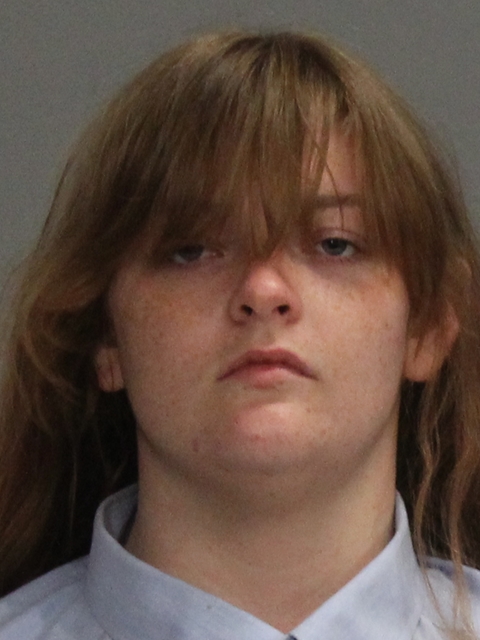 DICK, CLARA LEEANN booking photo