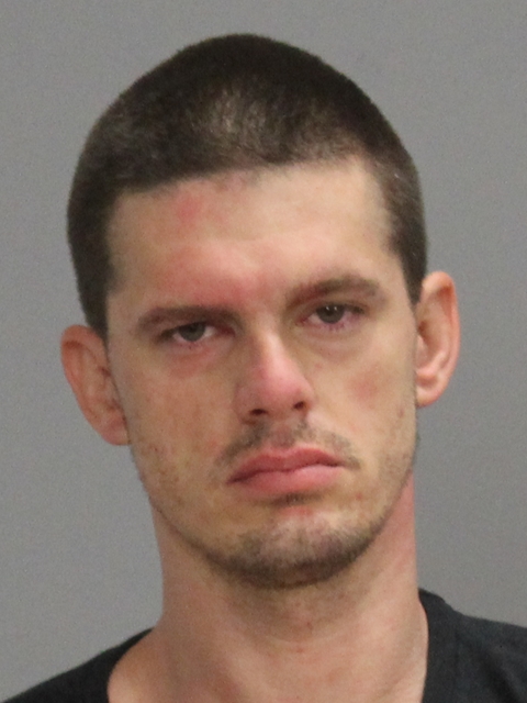 MELEAR, JAMES ANDRE, Jr booking photo