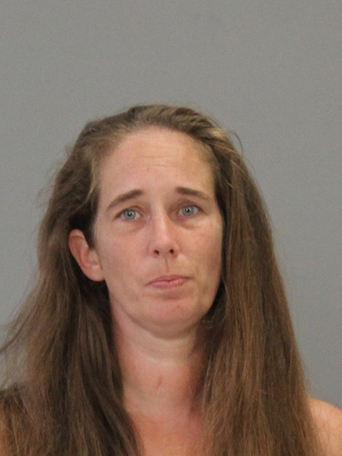 SHELTON, KRISTEN MICHELLE booking photo