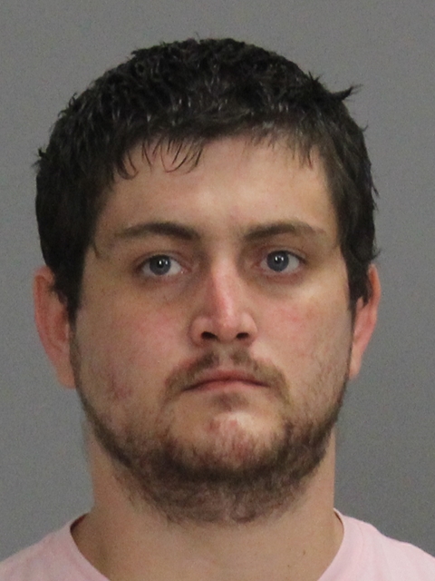 STANDLEE, MICHAEL WILLIAM booking photo