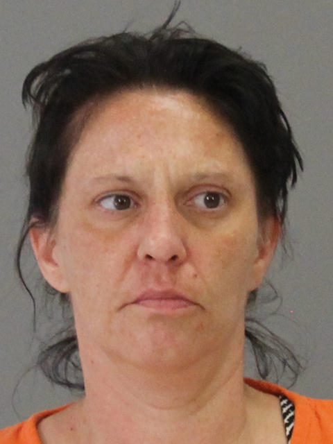 STEPHENSON, ELIZABETH ANN CARTER booking photo