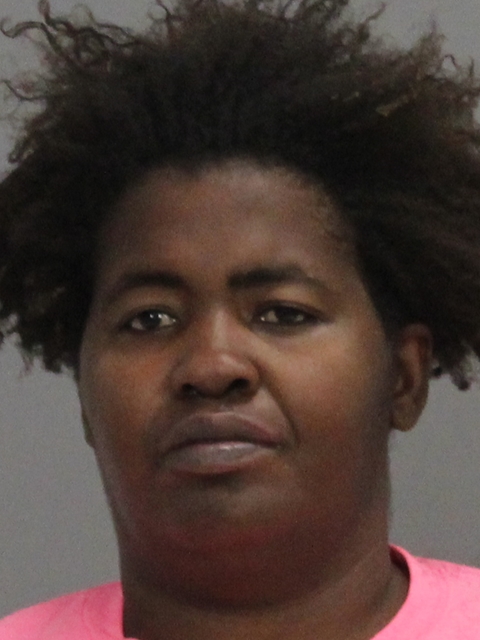 JOHNSON, SOPHLIA MARIE booking photo
