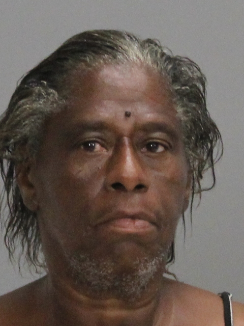 ROBERSON, BRIGETT LAVEL booking photo