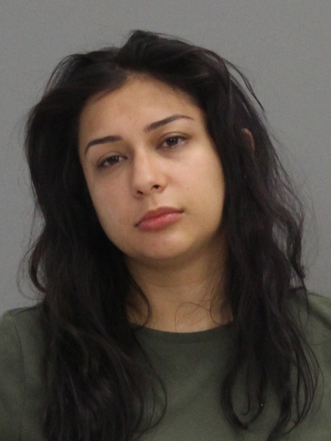 ROBINSON, DANIA MELISSA arrested by Brazos County SO/PD