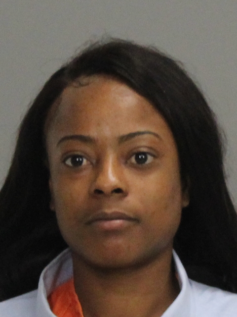 TURNER, CHIARA MESHAY booking photo