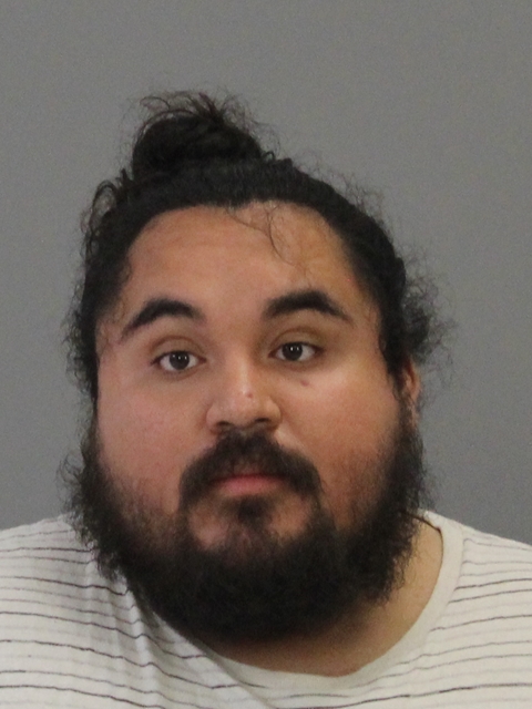 Rosa, Selvin Ariel booking photo