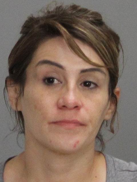 STEPHENSON, ALICE MARIE booking photo