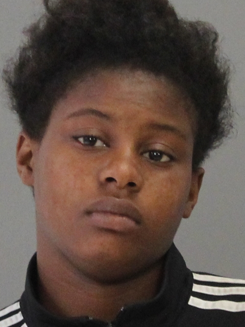 SCOTT, TAWANNA TENEE booking photo