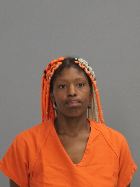 LEWIS, ANDREA UNIQUE booking photo