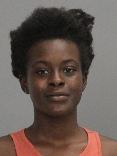SMITH, TYONNA DENAY booking photo
