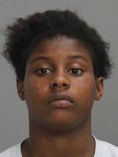 SCOTT, TAWANNA TENEE booking photo