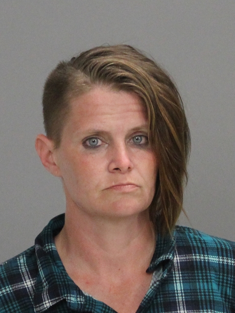 BANKENBUSH, HEATHER RENEE booking photo