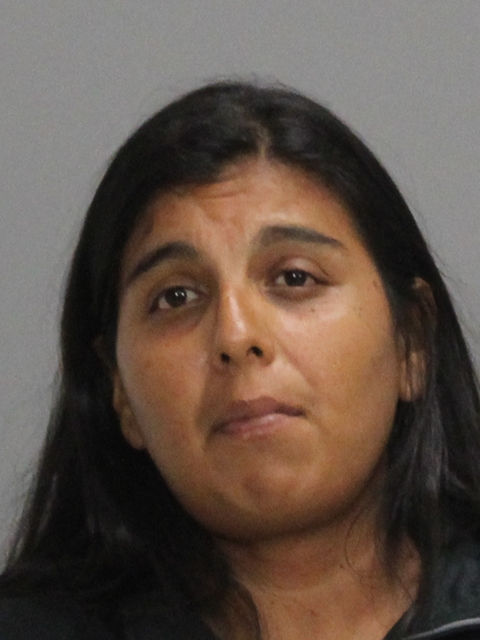 RODRIGUEZ, PRISCILLA booking photo