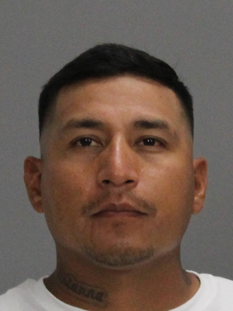 SALDANA, JULIAN HERNANDEZ, Jr booking photo