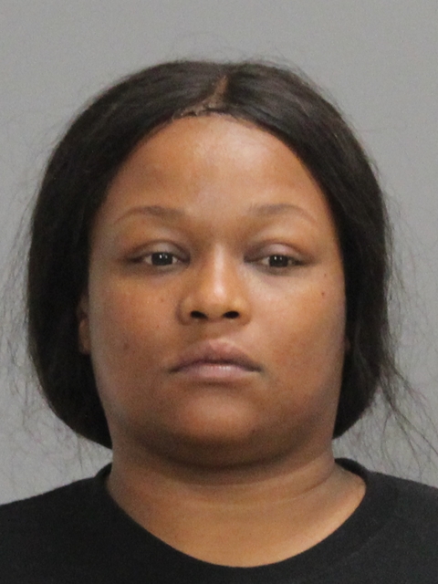 JOHNSON, SYLINNA NICOLE booking photo