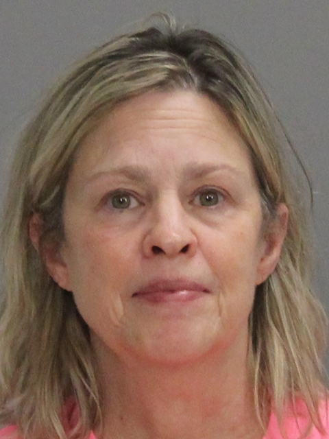 PERRONE, JULIE LEWIS booking photo